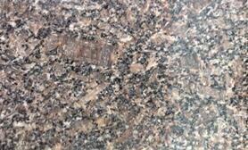 新鑛皇室啡(fei)