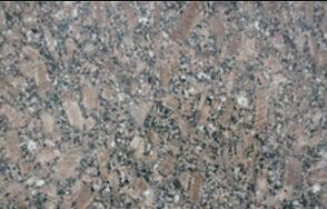 皇室(shi)啡(fei)玫瓌長蘤